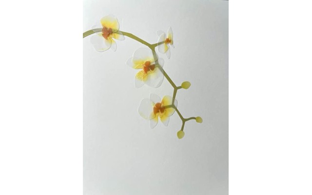  Card – Blank Inside – Good For All Occasions