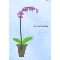 PAPYRUS Card Everyday, birthday Card, 1 Each,