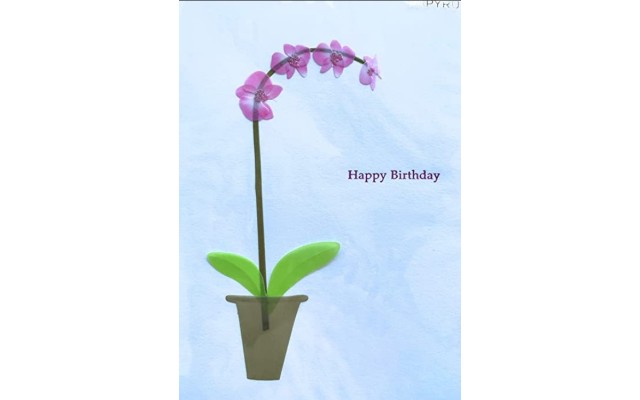  Card Everyday, birthday Card, 1 Each,