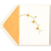 Papyrus Card High Quality Orchid Blank Card, 1 Each, Multicolor