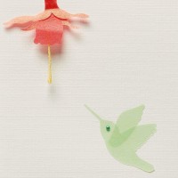 PAPYRUS Everyday Card, 1 EA, Multicolor