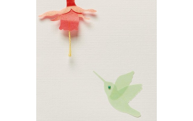  Everyday Card, 1 EA, Multicolor