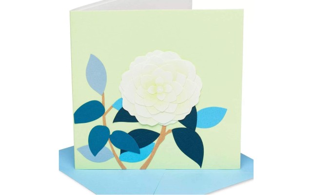  Floral Print Greeting Card, 1 Each