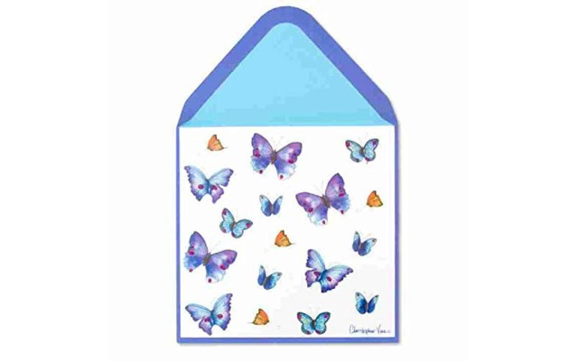  Red Blue Butterflies Blank Card, (7 x 5 x 0.25)
