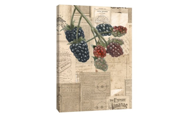 , Academic Raspberry Illustration Decorative Canvas Wall Art, 16×1.5×20