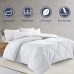  Down Alternative Comforter Duvet Insert, White, Twin