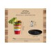  Bloody Mary Bar Tool Kit + Recipe Glass, 3 Pieces Set, Multi
