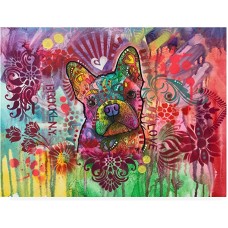 Trademark Fine Art ALI46292-C1419GG Frenchie Jacket by Dean Russo, 14×19