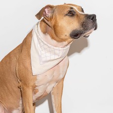 Wild One Printed Cotton Pet Bandana, Natural/Lilac, 22″x 22″
