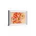  Papaver Dreams by Harold Davis Mirror Framed Print Wall Art, 21”x25”, Red