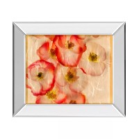 Classy Art Papaver Dreams by Harold Davis Mirror Framed Print Wall Art, 21”x25”, Red