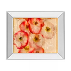 Classy Art Papaver Dreams by Harold Davis Mirror Framed Print Wall Art, 21”x25”, Red