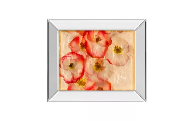  Papaver Dreams by Harold Davis Mirror Framed Print Wall Art, 21”x25”, Red