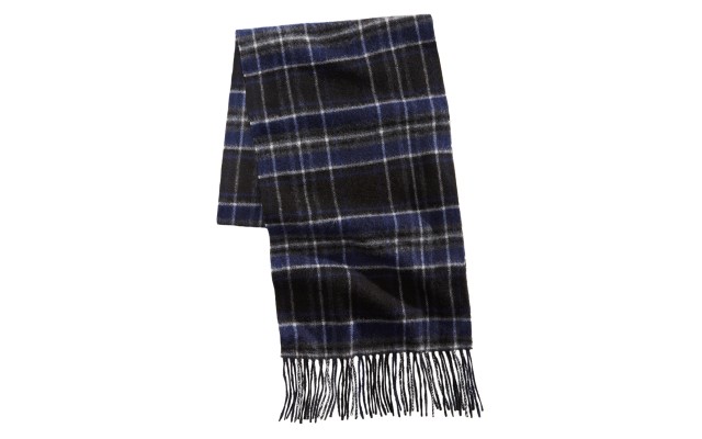  Men Printed Cashmere Scarfs, Navy