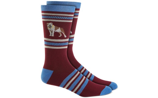  Men’s Holiday Bulldog & Stripes Crew Socks, Burgundy