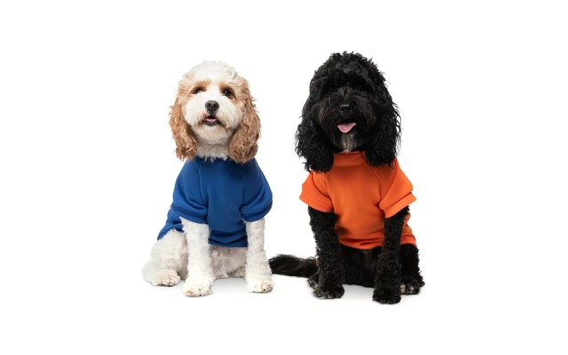  Pet Hoodie, Blue, X-Large