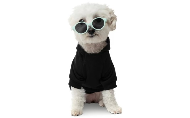  Pet Hoodies, Black, Large