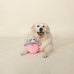  Slown’ Dwn for Summer Sloth Pet Toy, Sloffee (289377)
