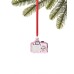  Fashion Week Pink Glass Camera Ornament