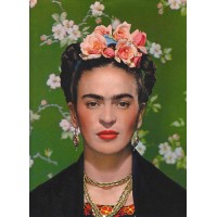 I Will Never Forget You  Frida Kahlo and Nickolas Muray (Paperback)
