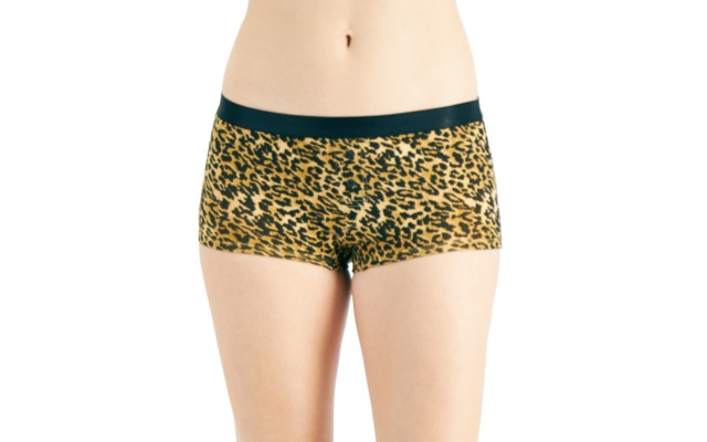  Women’s Boyshorts Underwear, Cheetah, Small