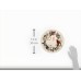  Winter Greetings 3-Piece Place Setting
