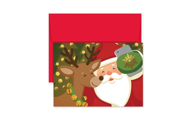 Masterpiece Santa Selfie Boxed Set Of 18 Holiday Greeting Cards With Envelopes