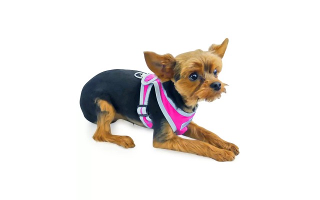 My Canine Kids Precision Fit Dog, Pink, X-Small)