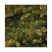  Downswept Douglas Fir Tree 7.5′