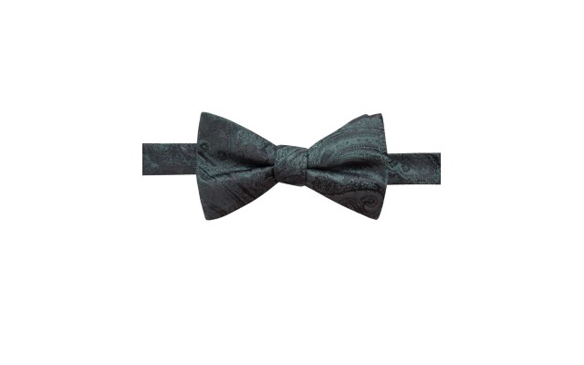  Distinction Men’s Pre-Tied Dover Paisley Silk Bow Tie (Green)
