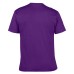  All States Collection “United We Stand” 100% Cotton Unisex T-shirt Graphic Tee, Purple/Yellow, X-Large