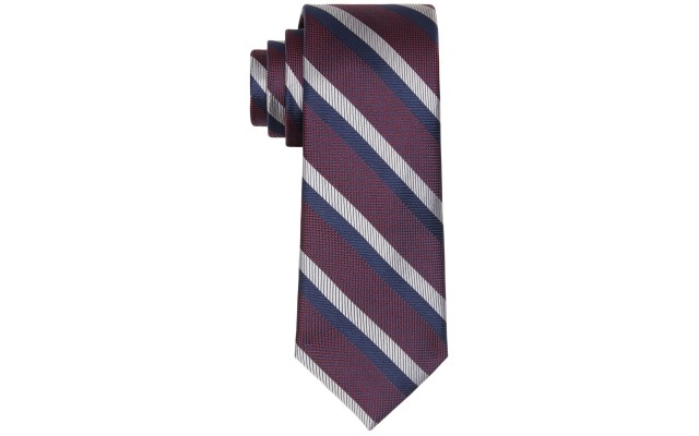  Men’s Diagonally Striped Ties, Purple