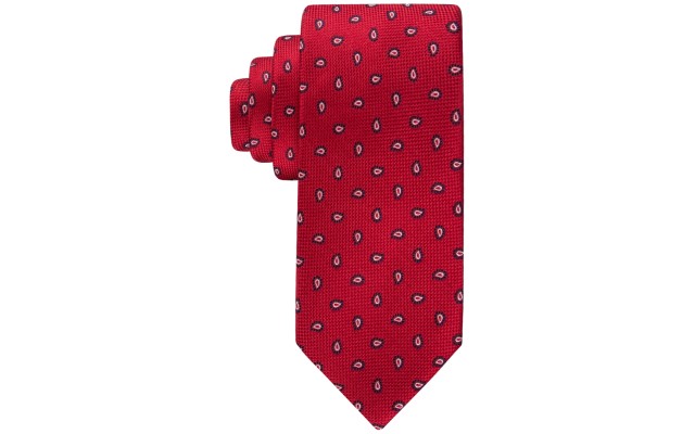  Men’s Classic Paisley Pine Oxford Tie, Red
