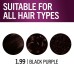 Keratin Color Permanent Hair Color, 1.99 Black Purple, 1 Application - Salon Inspired Permanent Hair Dye, for up to 80% Less Breakage vs Untreated Hair and up to 100% Gray Coverage  Keratin Color Permanent Hair Color, 1.99 Black Purple, 1 Application - Salon Inspired Permanent Hair Dye, for up to 80% Less Breakage vs Untreated Hair and up to 100% Gray Coverage
